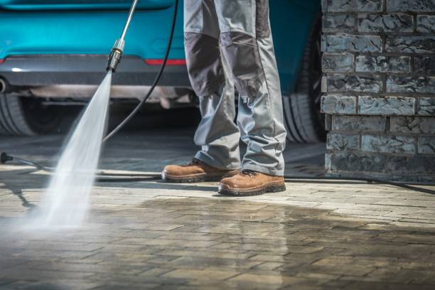 Animal Enclosure Cleaning in St Joseph, IL